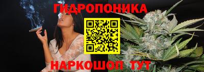 мдпв Брянск